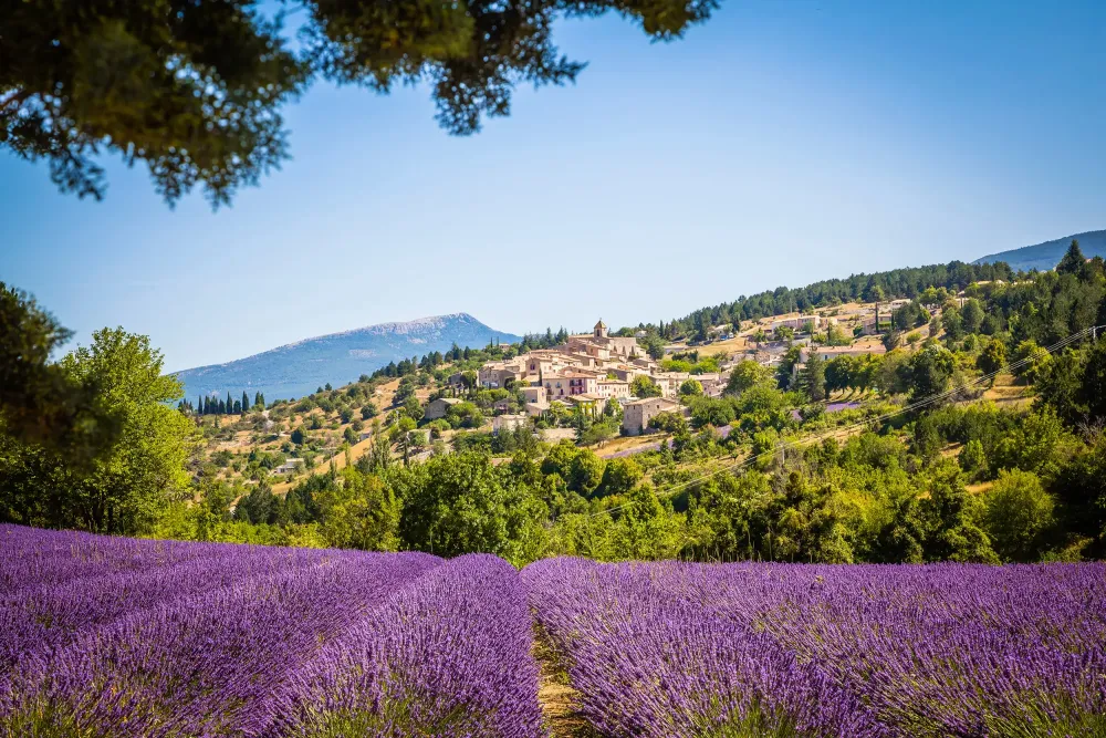 provence